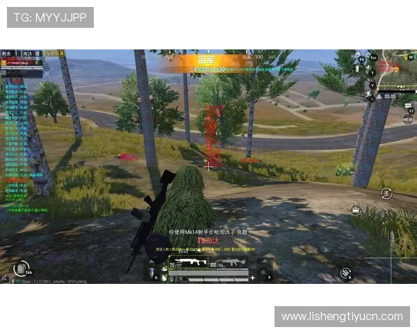 大发bet游戏平台新手入门指南，轻松掌握游戏规则快速上手