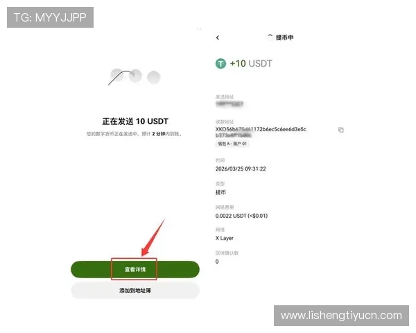 大赢家国际娱乐城的支付方式多样化与快速提现流程介绍 大赢家国际娱乐城的支付方式多样化与快速提现流程介绍